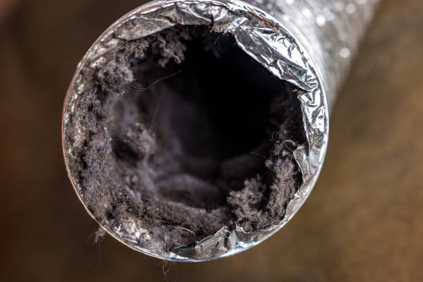 Best Air Duct Cleaning Near Me  in Dickinson, ND